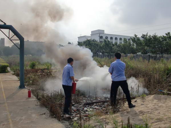 ��������(4)