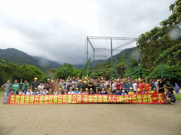 ��˾��� (11)